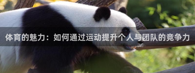 意昂官网