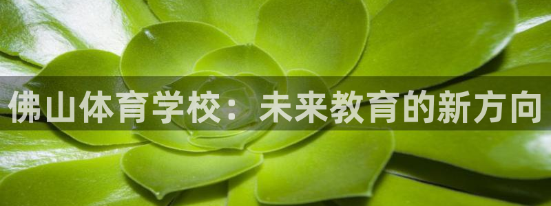 意昂3体育代理申请流程