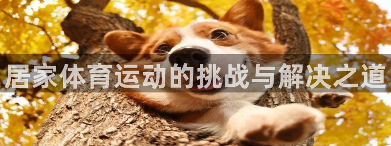 意昂3官网