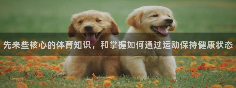 意昂集团股票