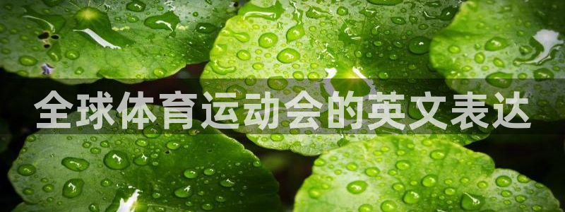 www.意昂3体育.com