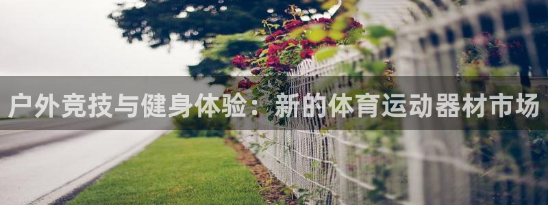上海意昂3汽车电子有限公司