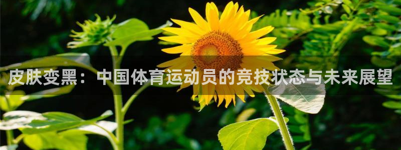 意昂32登录入口