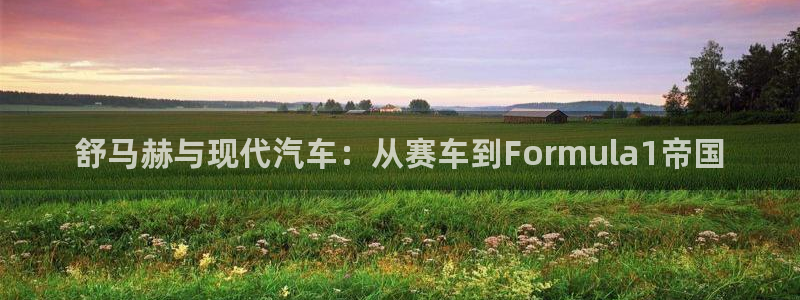 德国意昂集团