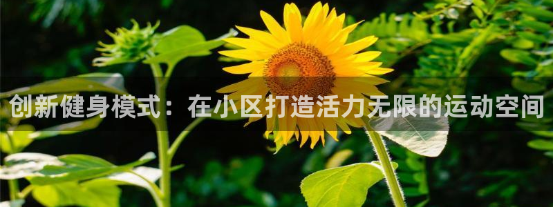 意昂体育