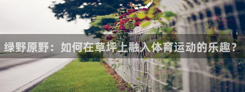 意昂3电子有限公司