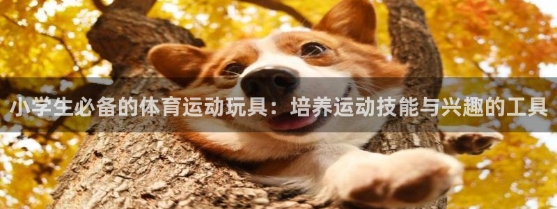 意昂3官网入口