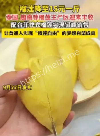 榴莲价格15元一斤
