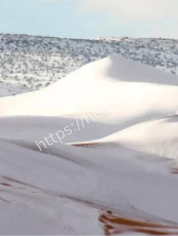 撒哈拉沙漠罕见雪景
