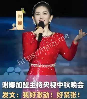 谢娜主持央视秋晚